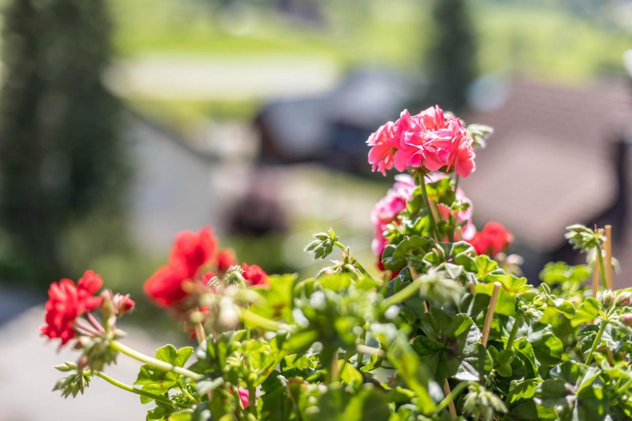 Apartment Waldesruh Titisee-Neustadt